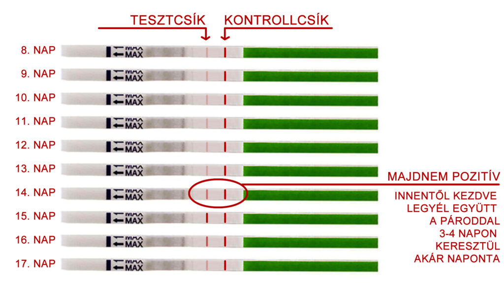 Novafam kapszula, teherbeesés, PCOS legyőzése természetes méhpempővel